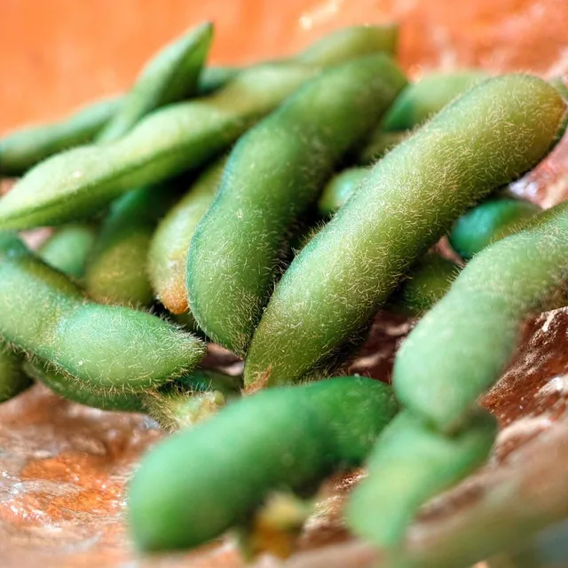 Edamame (Japanese Bean with Salt)
