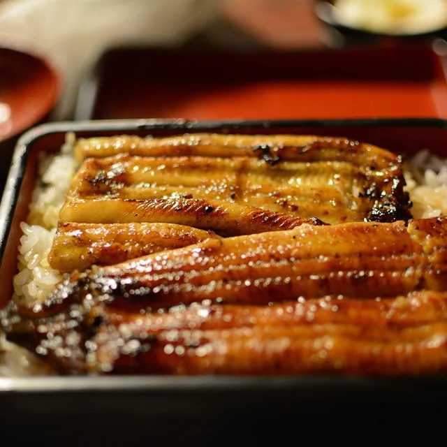 Roast Eel Bento Box